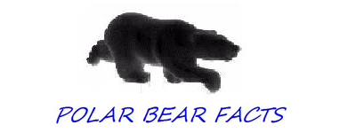Polarbear Facts