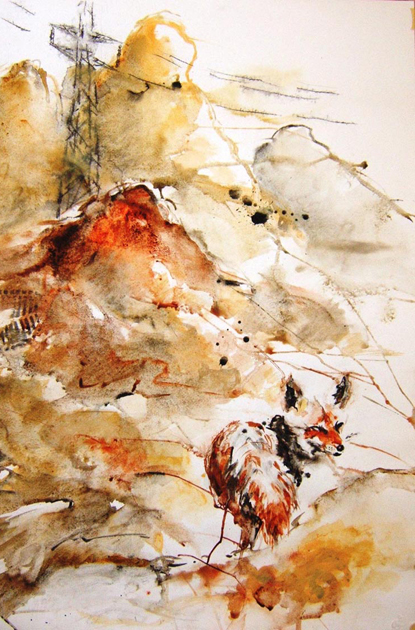 fox