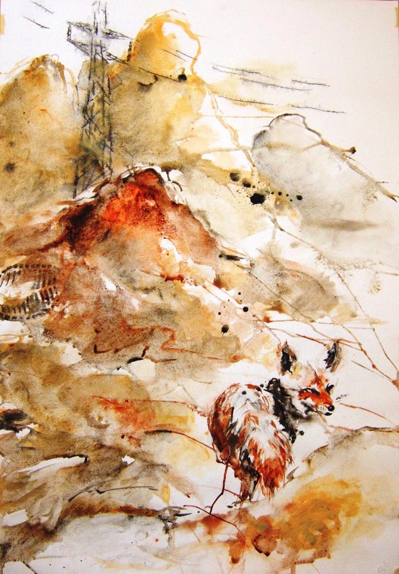 fox